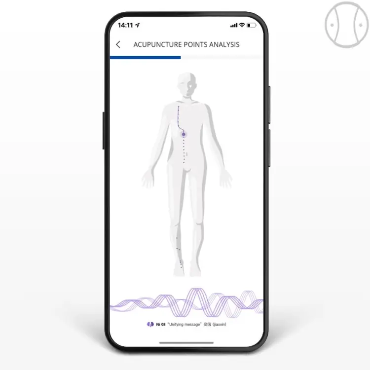 Moduł Meridian HealAdvisor Analyse3.jpg