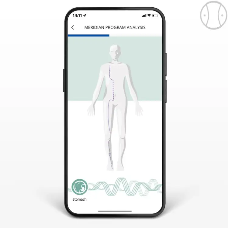 Moduł Meridian HealAdvisor Analyse2.jpg