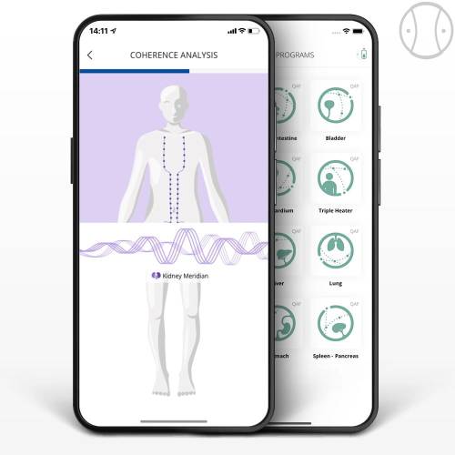 Moduł Meridian HealAdvisor Analyse1.jpg