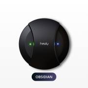maghealy-obsidian.jpg